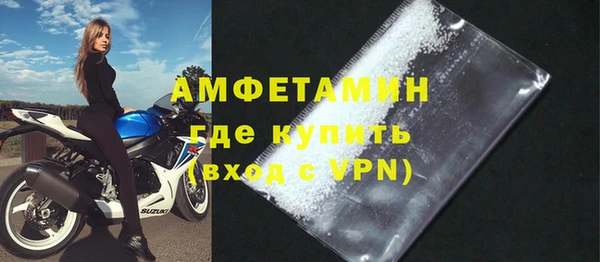 индика Нязепетровск