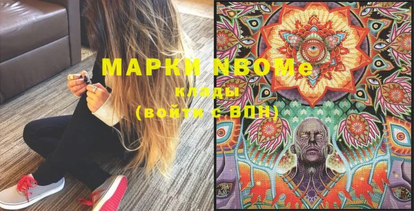 дурь Няндома