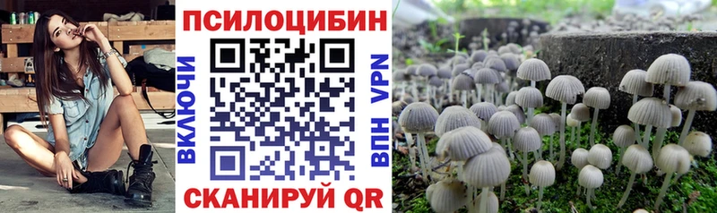 где купить   Михайлов  Псилоцибиновые грибы Magic Shrooms 